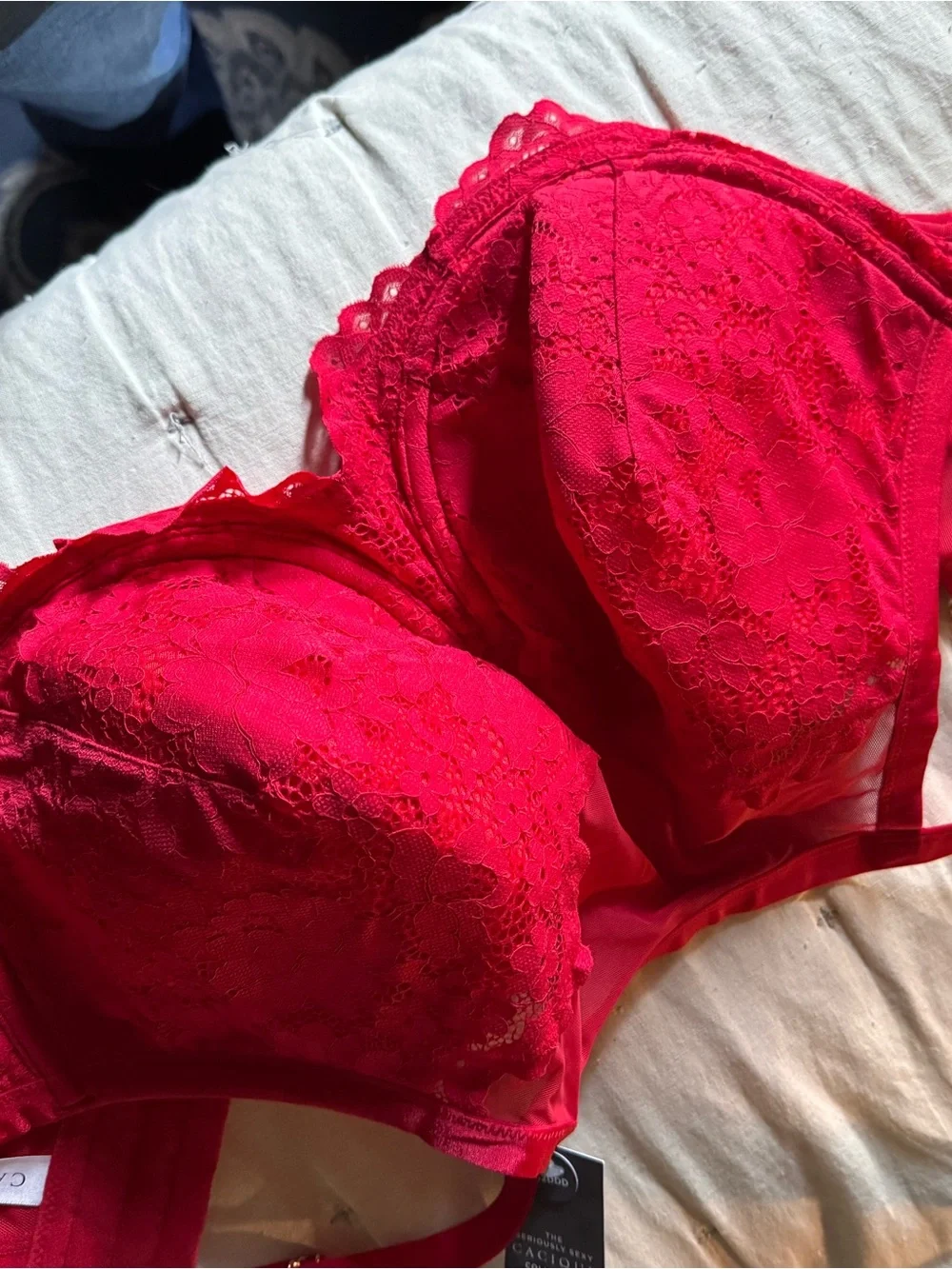 Lipstick Boutique Vibrant Red Lace Underwire Bra